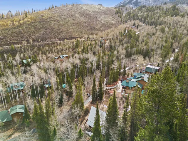 Bird's eye view of a mountainous background