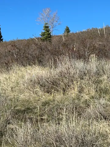 Unit J6, Fairview, Utah 84629
