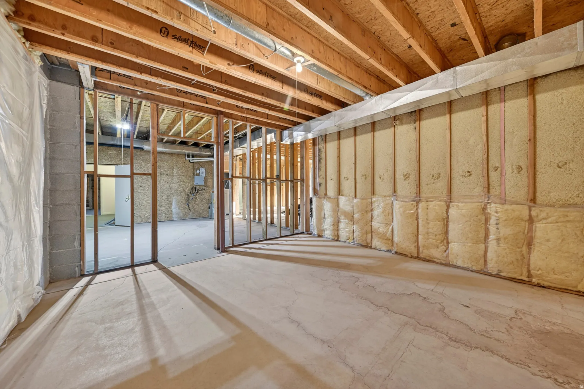 View of unfinished basement
