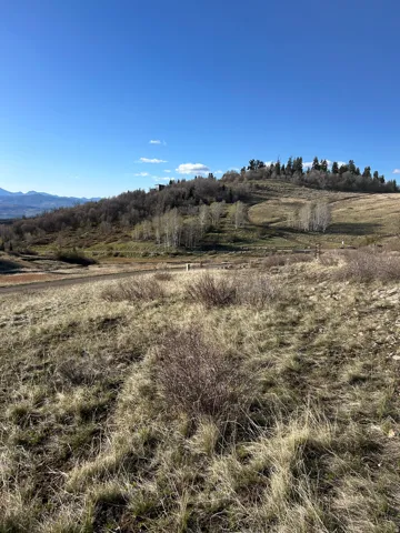 view from lot