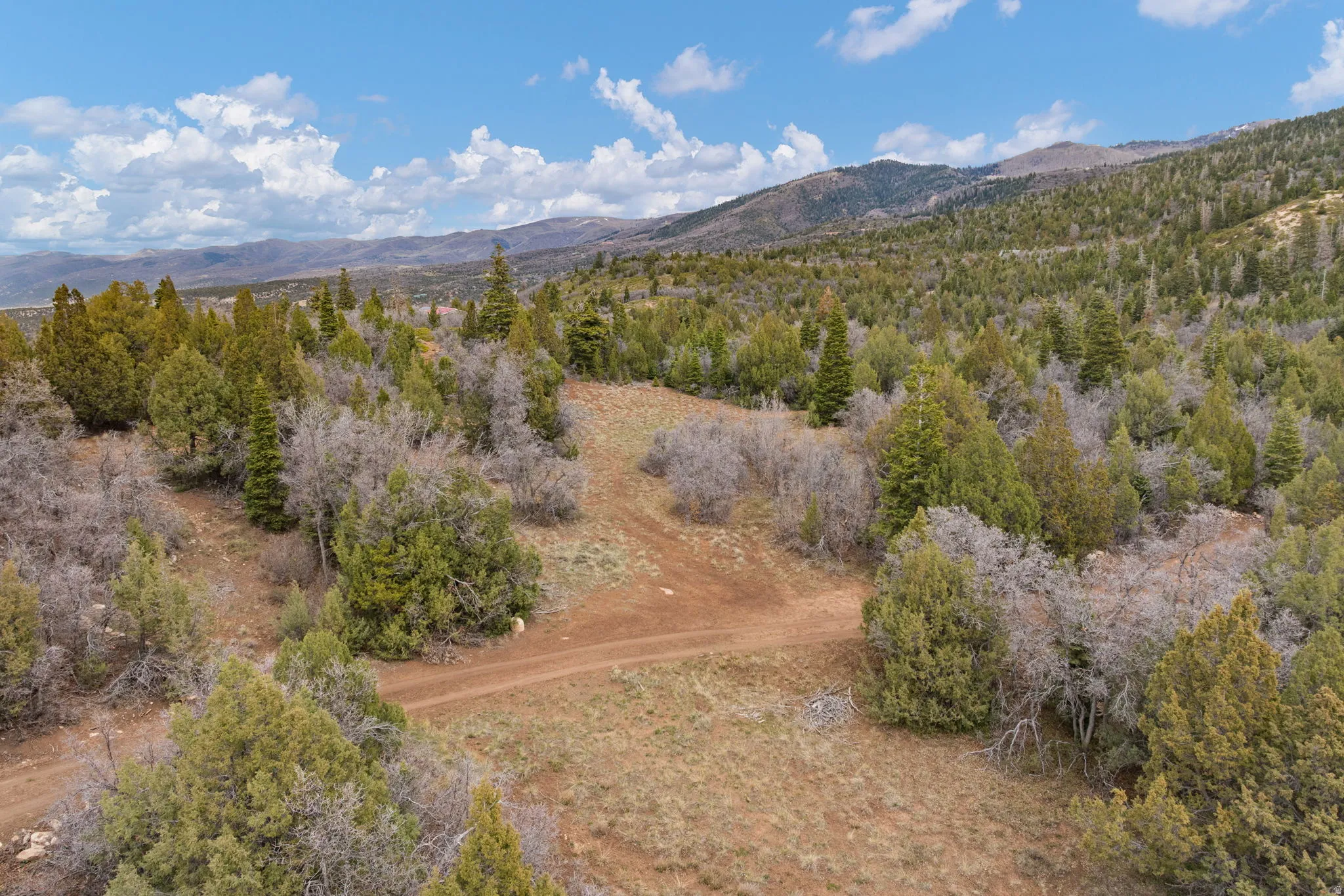 Open space on property for multiple uses - additional camping