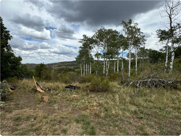 View of undeveloped land