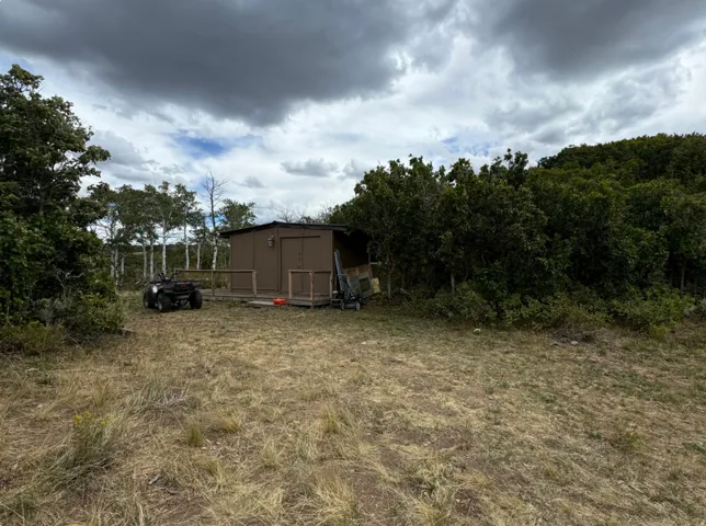 View of yard featuring a storage shed