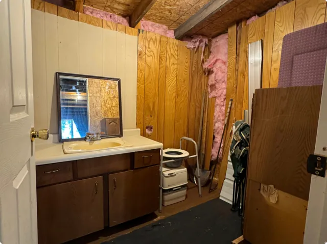Bathroom featuring vanity and wood walls