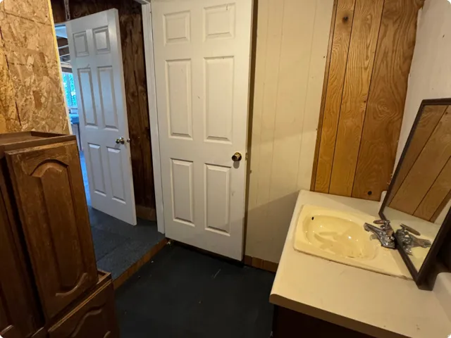 Bathroom with vanity and wooden walls