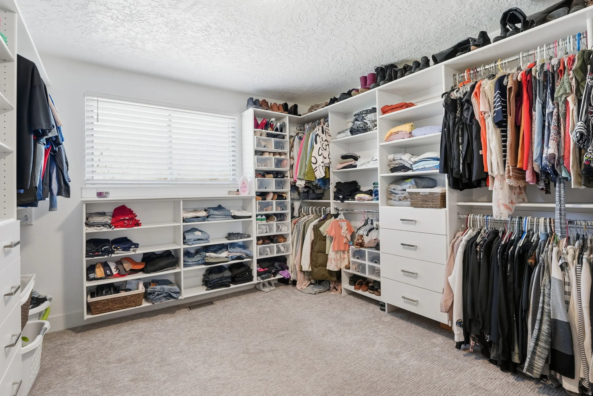 Walk in closet or bedroom with light carpet