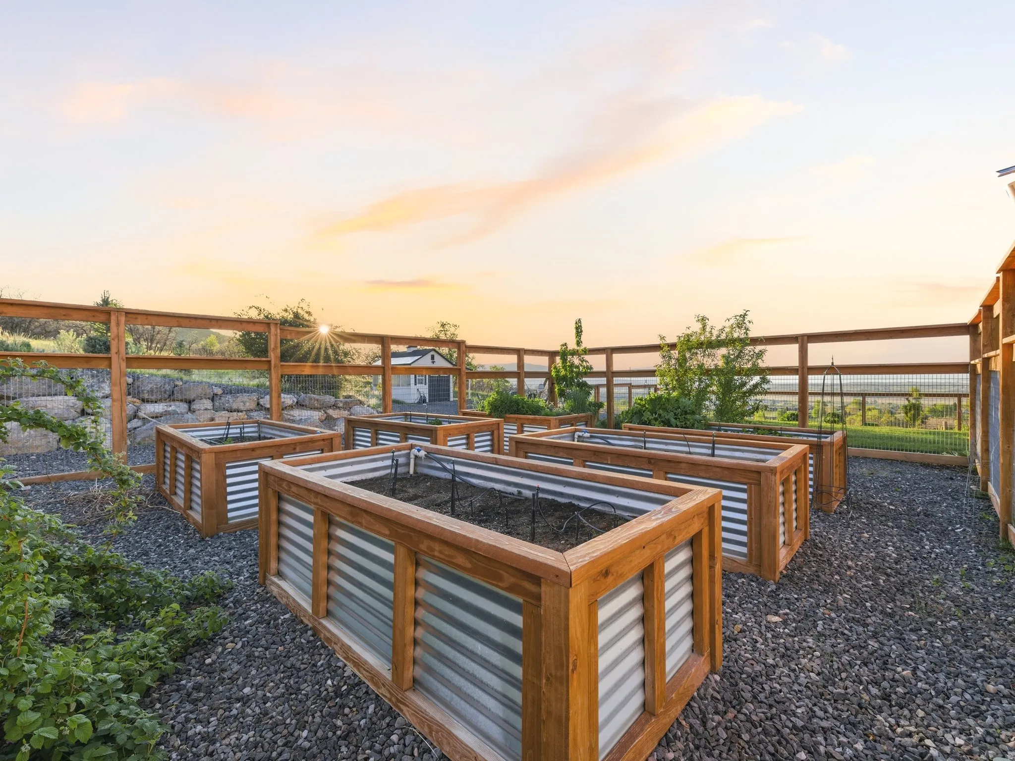 These raised garden beds are fully fenced in preventing any deer or other animals from getting in!
