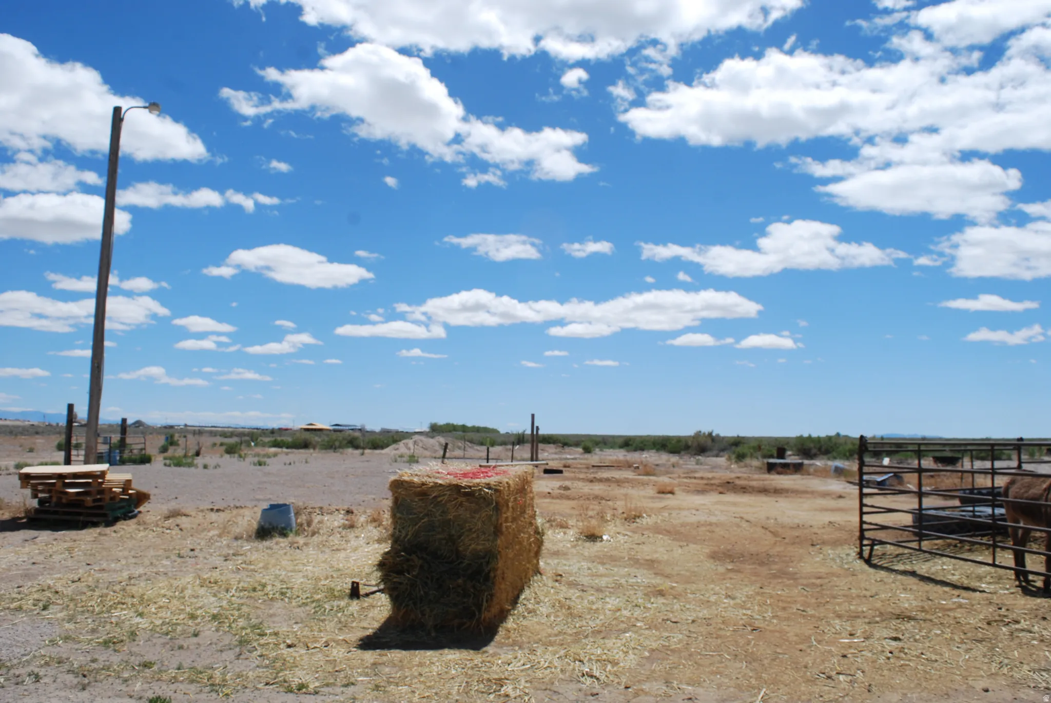 View of yard featuring a rural view
