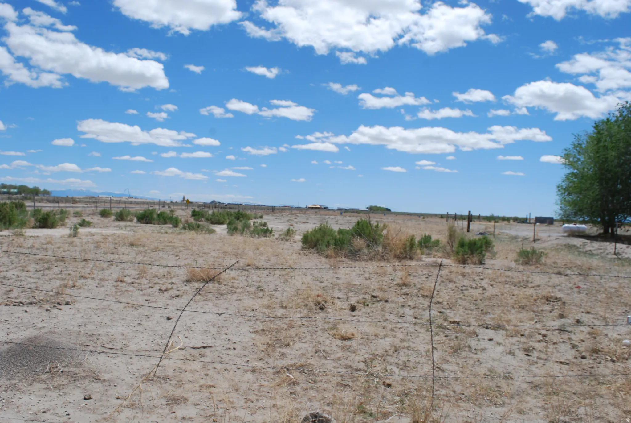 View of yard with a view of rural / pastoral area and view of desert