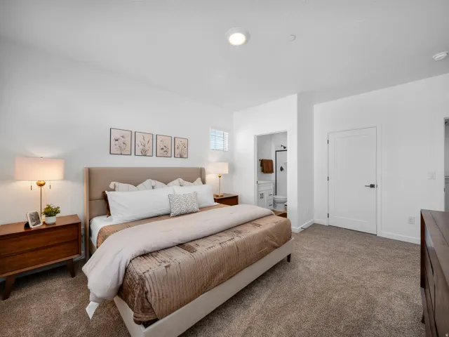Plush carpeting and recessed lighting
