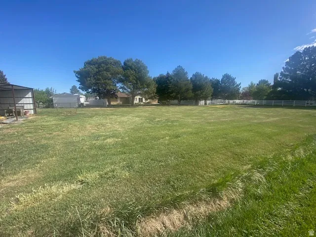 Property is surrounded by lots of mature trees