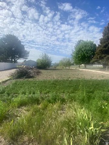 View of where the future driveway will be located.