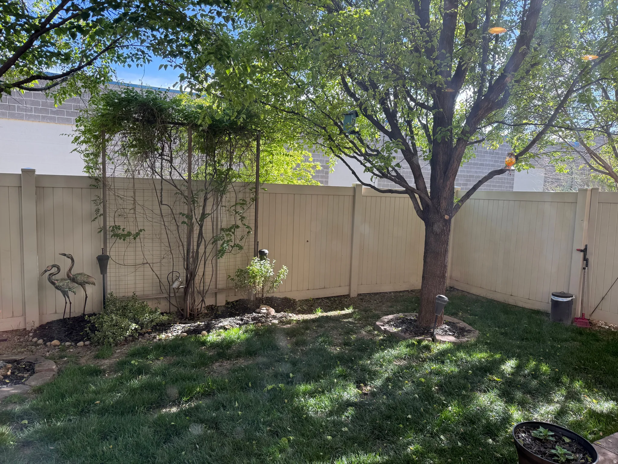 View of fenced yard