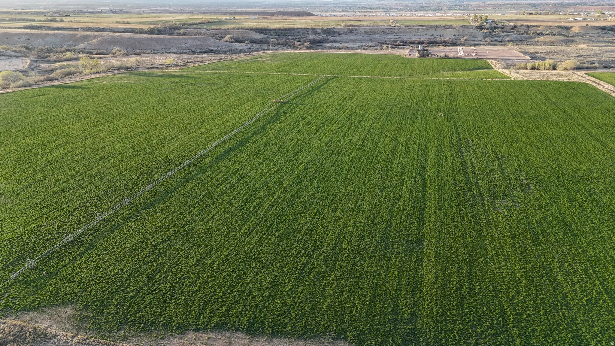 Overview of rural landscape featuring rows of crops
