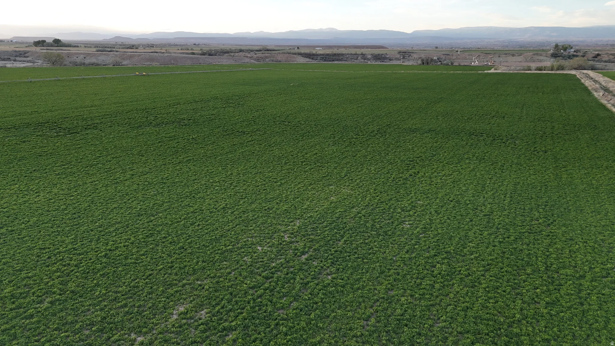View of rural area with a mountain backdrop and large plots for crops