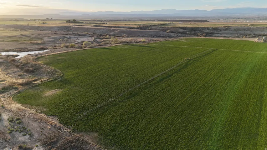 Overview of rural landscape with mountains and rows of crops