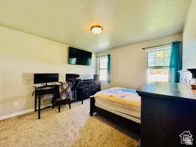 Primary Bedroom with light colored carpet and a textured ceiling