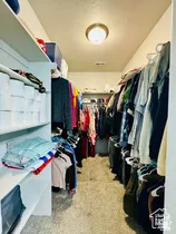 Primary Walk-in closet featuring light colored carpet