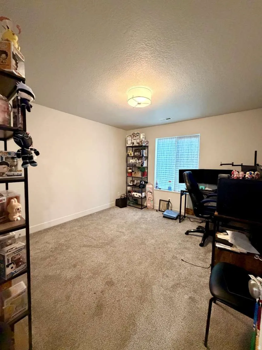 Carpeted room featuring a ceiling-mounted drum light fixture, baseboard trim, and a window with blinds
