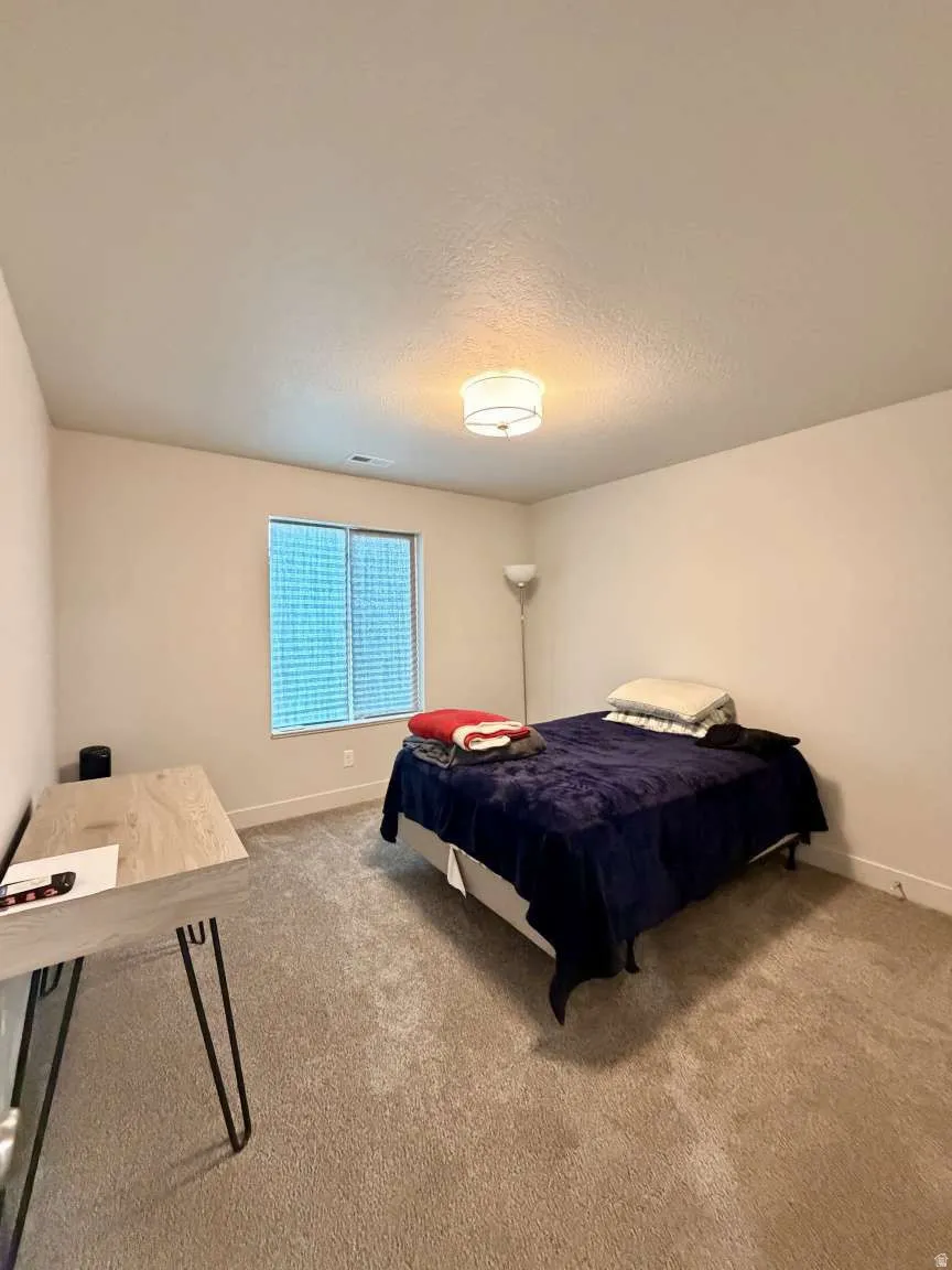 Carpeted room featuring a window with blinds, a flush mount ceiling light fixture, and neutral wall tones