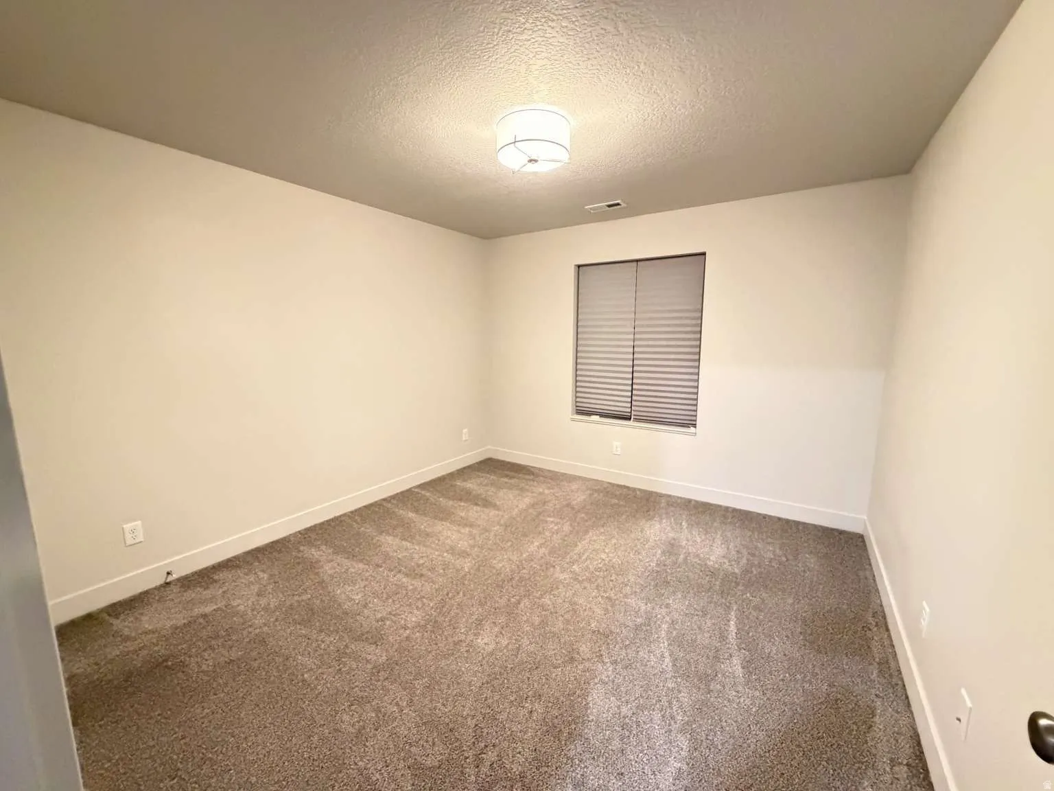 Carpeted room featuring a single window with blinds, a ceiling-mounted light fixture, and neutral-toned walls