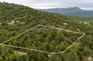 Aerial view of property's location featuring property boundaries highlighted and a heavily wooded area