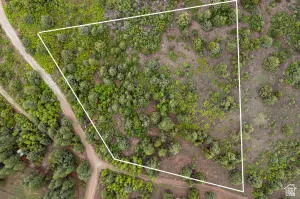 Aerial view of property and surrounding area with property boundaries highlighted