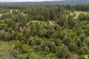 Bird's eye view of a heavily wooded area