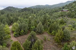 Aerial view of a heavily wooded area and mountains