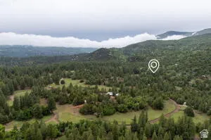 Bird's eye view of a heavily wooded area and a mountainous background
