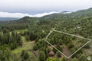 Aerial overview of property's location with a heavily wooded area and property parcel outlined