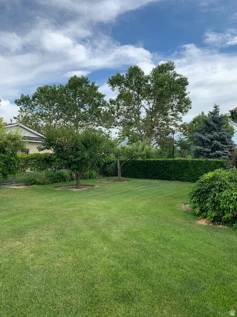 View of green lawn