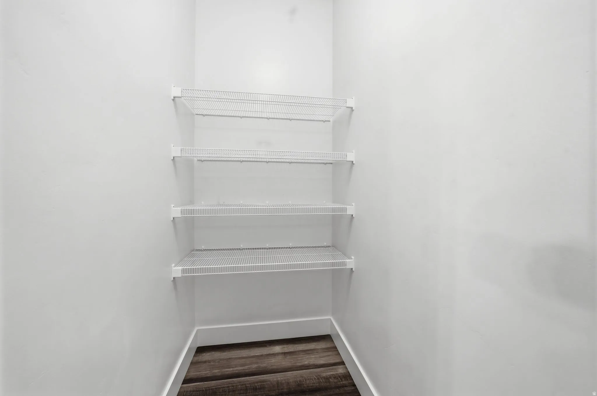 Walk in closet featuring dark wood-style flooring