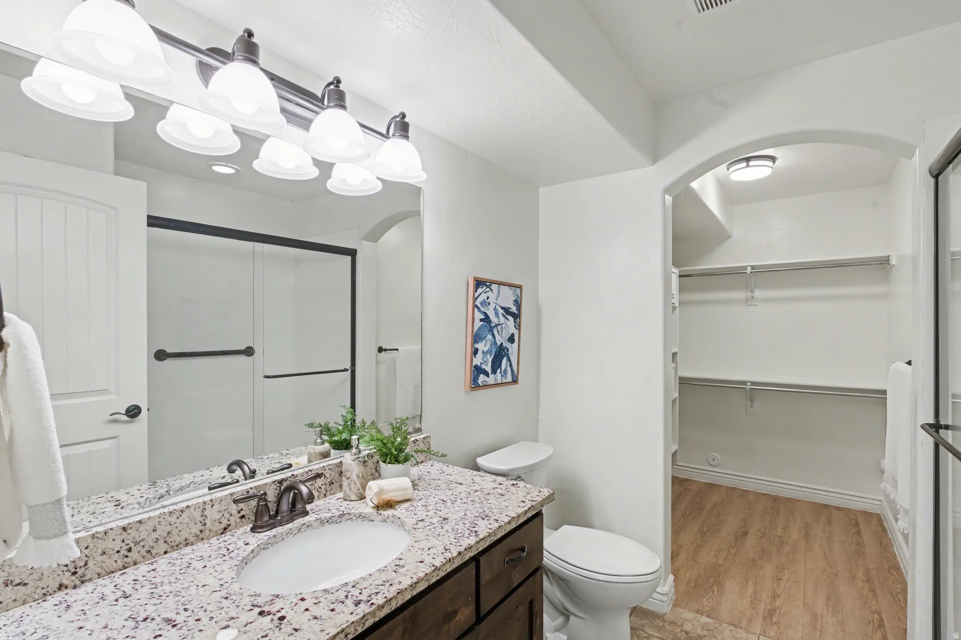Full bath with vanity, a walk in closet, light wood-style floors, and a shower with shower door