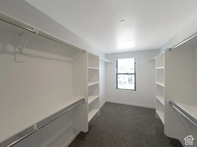 Awesome Walk in Closet with Window