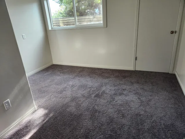 Unfurnished bedroom with baseboards and carpet floors