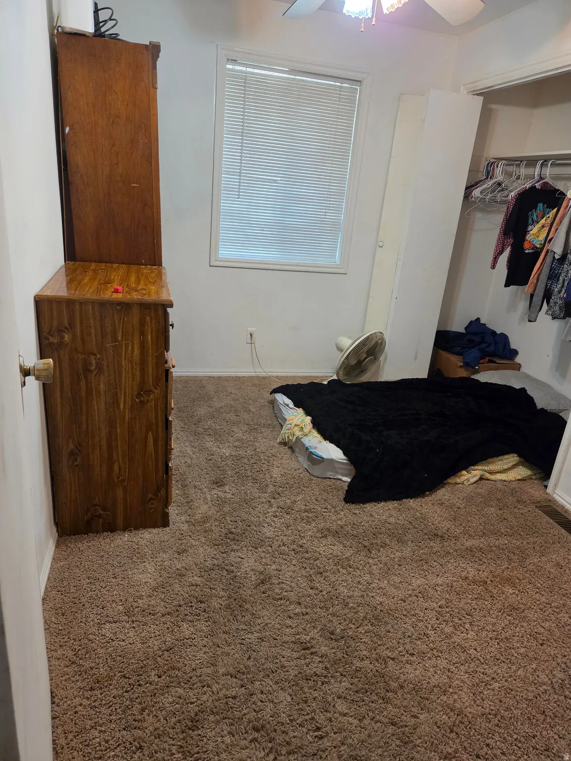Recessed window with blinds, ceiling-mounted light fixture, and wall-to-wall carpeting