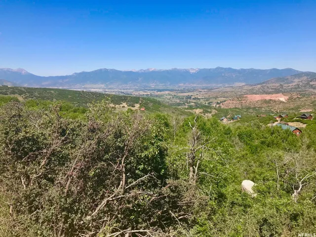 View of mountain background