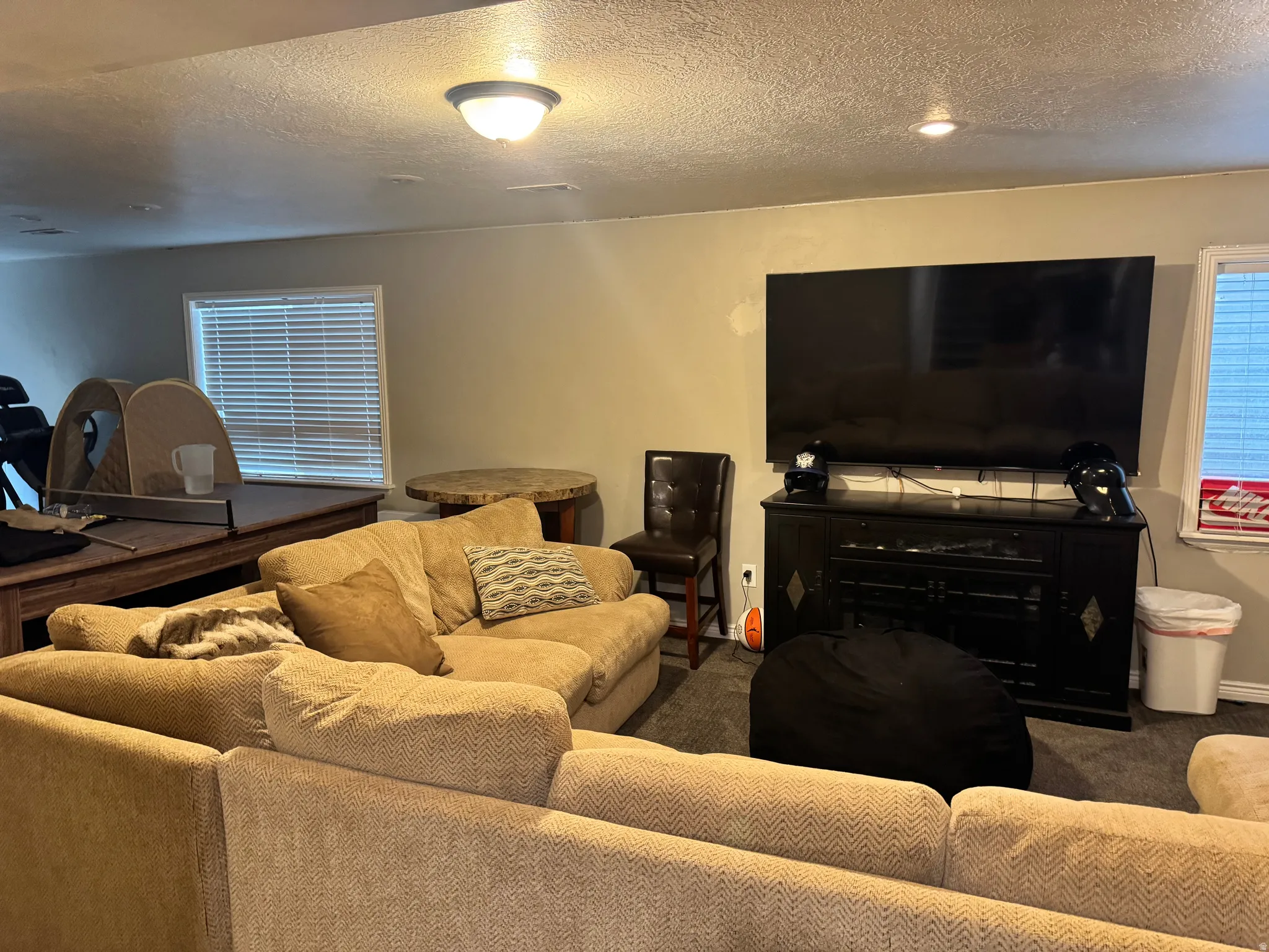 Living area featuring carpet flooring and a textured ceiling