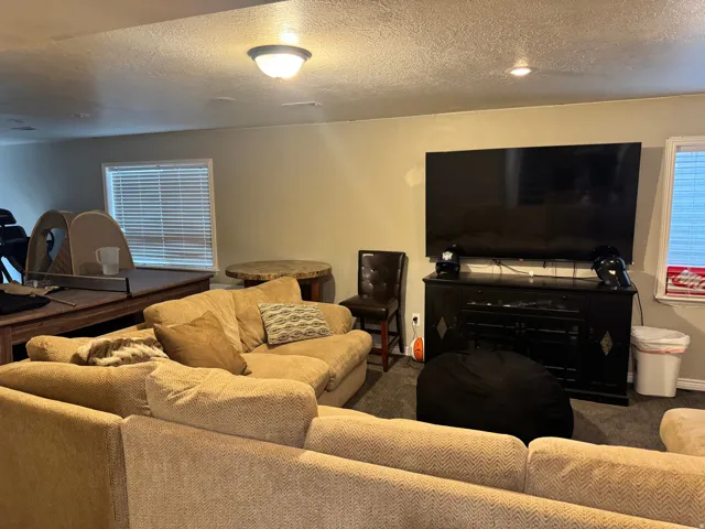 Living area featuring carpet flooring and a textured ceiling
