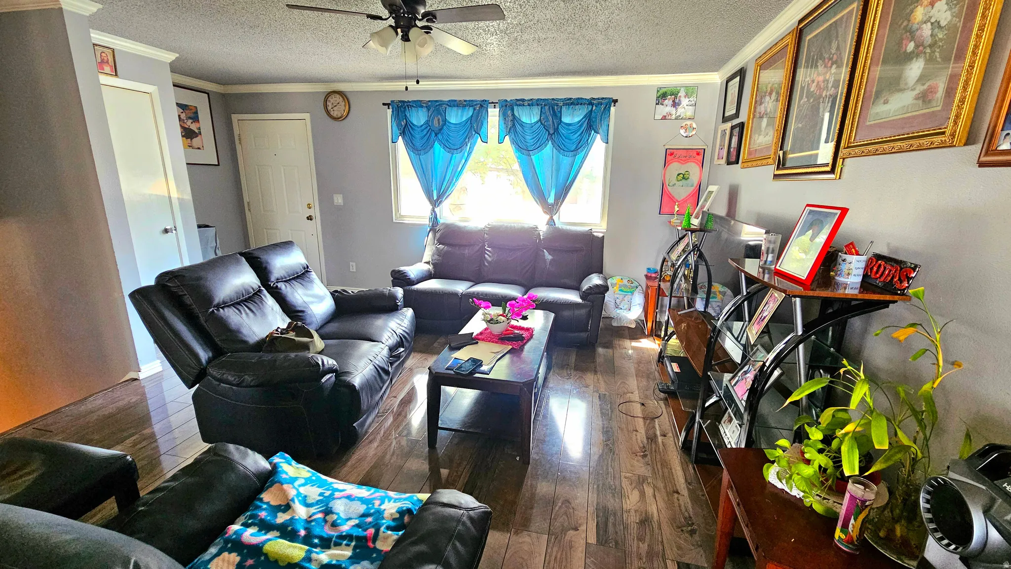 Living room with dark wood finished floors, a textured ceiling, ceiling fan, and ornamental molding