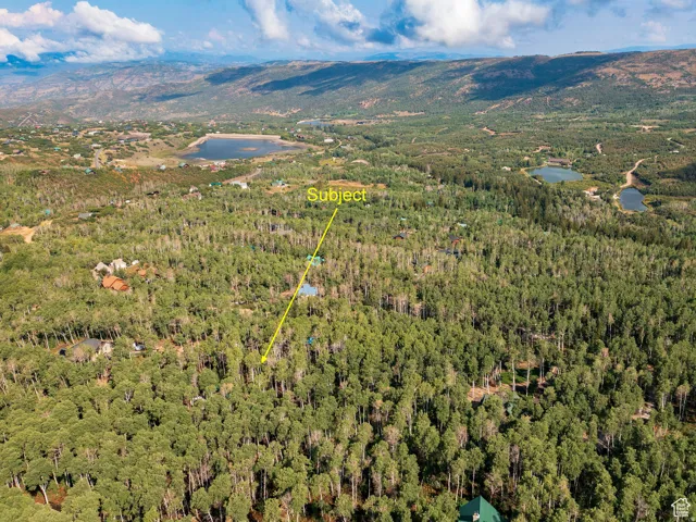 Bird's eye view of a water and mountain view