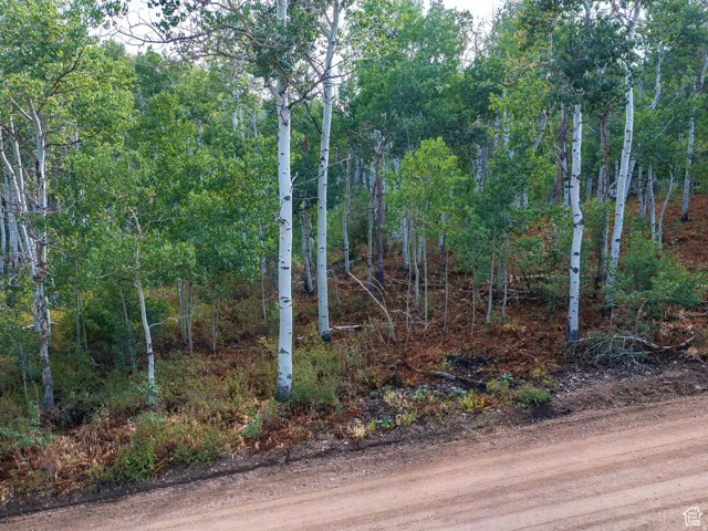 View of undeveloped land