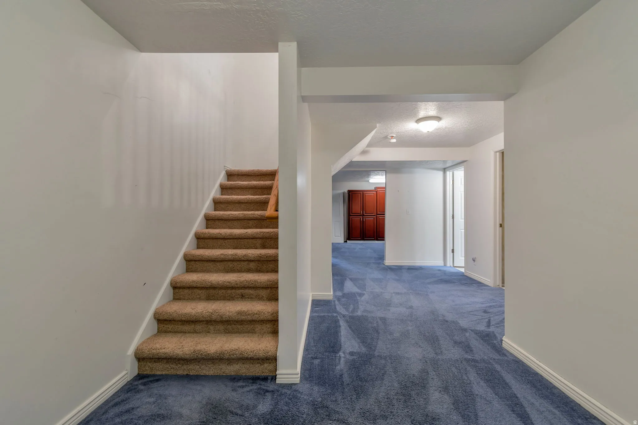 Staircase featuring carpet floors and a textured ceiling