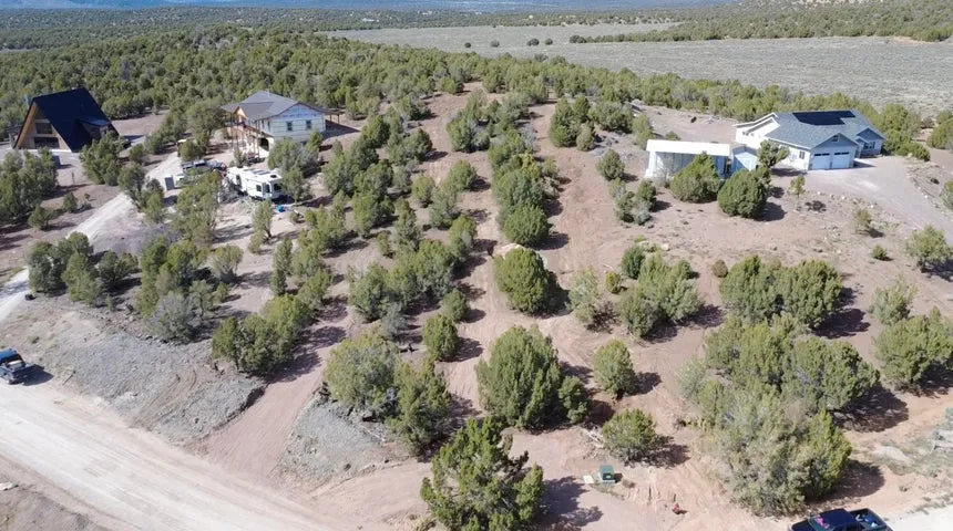 Aerial view of a heavily wooded area
