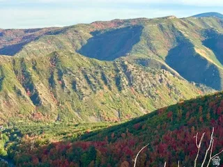 View of mountain backdrop