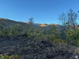 View of mountain background featuring a heavily wooded area