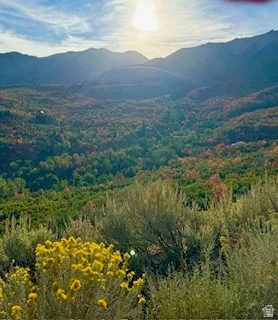 View of mountain background