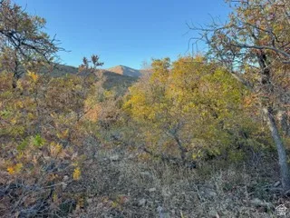 View of mountain backdrop featuring a heavily wooded area