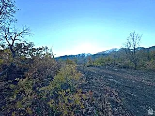 View of mountain background